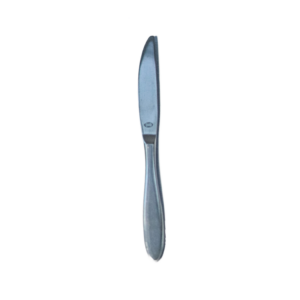 Silver Stainless Steel Table Knife